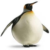 apealex
